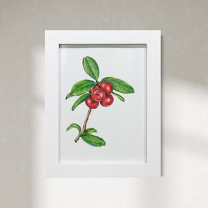 Cranberries *