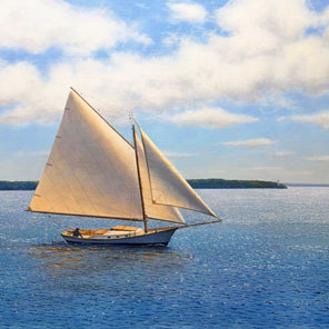Daniel Pollera
